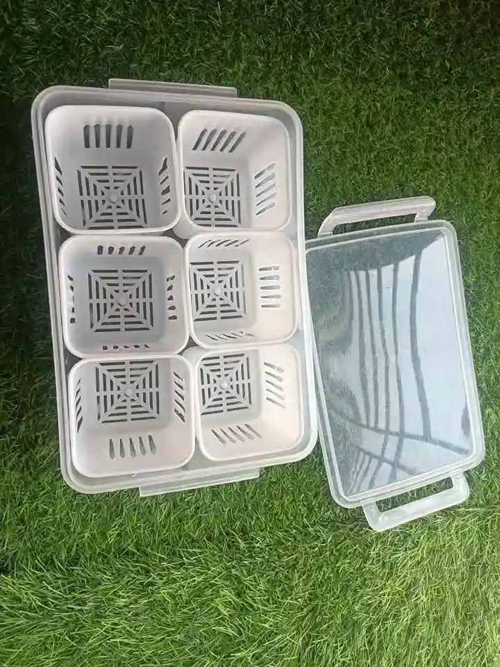 6 Grid Fridge Storage Box